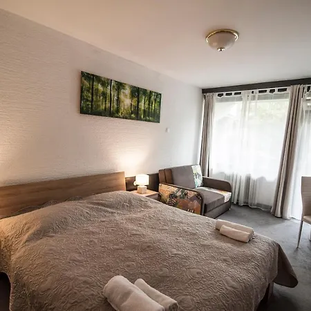 ファラオン ホテル 3*